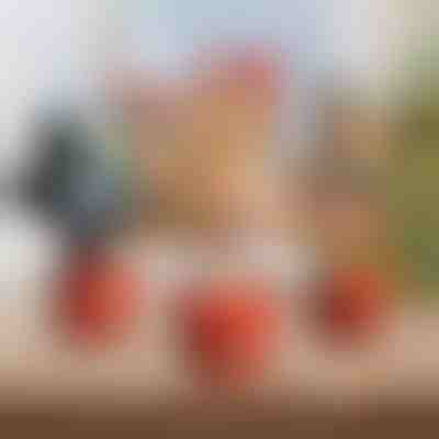 Vianočná interaktívna tanečná hračka | DANCETKO