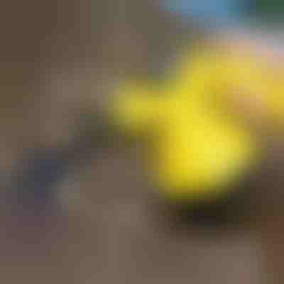 Parný čistič na dezinfekciu | VAPERO