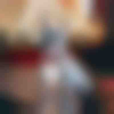 Slávnostný obojok pre psov so snehovými vločkami | DOGICOLLAR